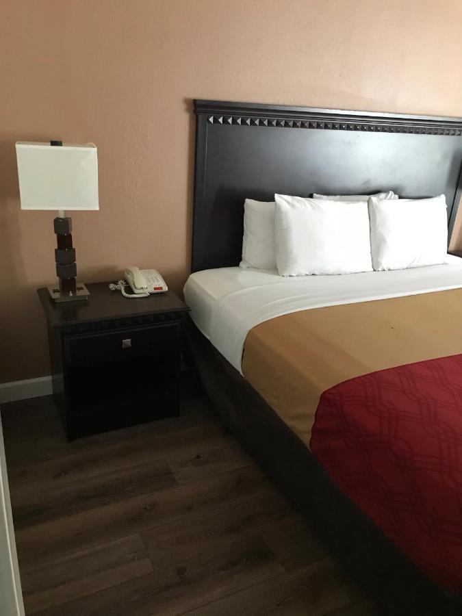 Hotel The Best &
